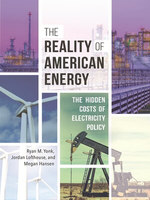 cover image of The Reality of American Energy